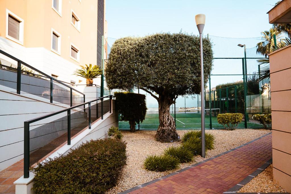 Sol Denia Διαμέρισμα Εξωτερικό φωτογραφία